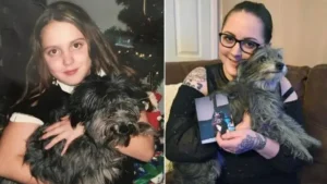 Read more about the article Woman Adopts Old Dog at Shelter, and Discovers He Was Her Childhood Pet