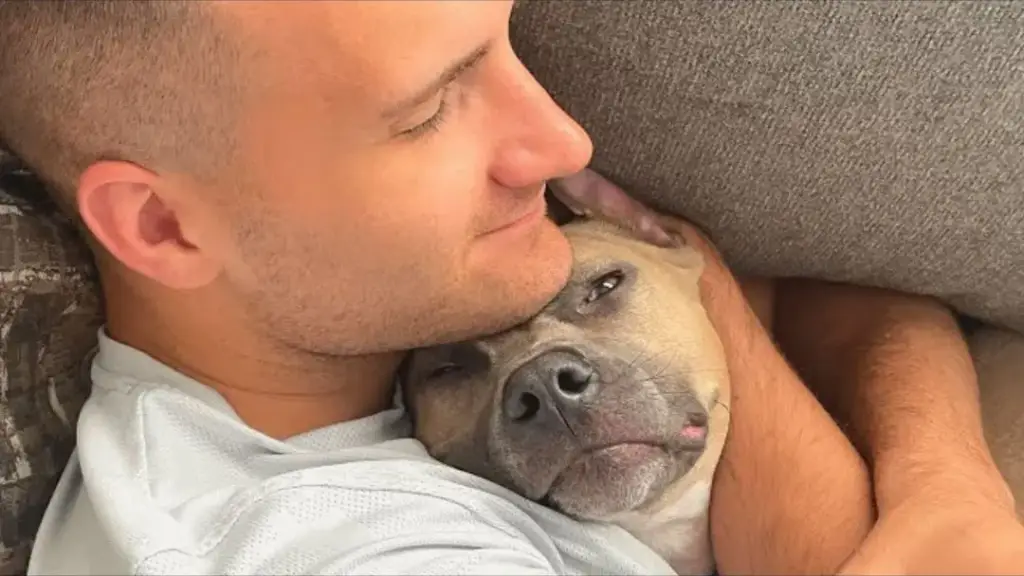 You are currently viewing Couple Adopts Pitbull Puppy and Discovers Heartwarming Truth About the Breed