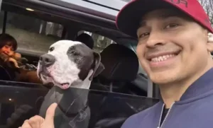 Read more about the article Delivery driver takes food to shelter and adopts puppy that was looking at him