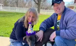 Read more about the article Couple adopts elderly dog who spent 11 years in shelter; Fiona found a home and family