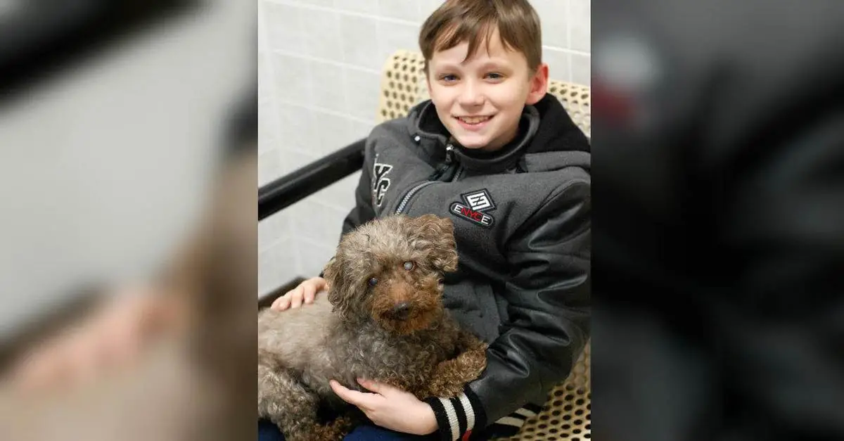 You are currently viewing Boy visits shelter and decides to adopt the oldest dog of all