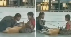 Read more about the article Children are filmed giving love and affection to a stray dog, and the video goes viral