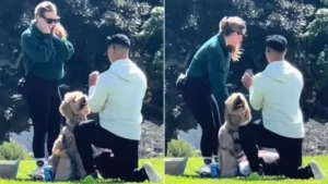 Read more about the article Dog has an unusual reaction when his owner was proposed to and goes viral on the internet.