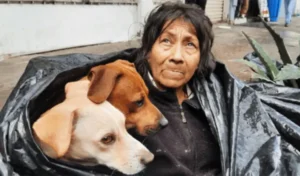 Read more about the article Homeless woman refuses to leave her 6 dogs for a warm bed at a shelter.