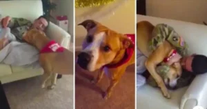 Read more about the article Dog has a wonderful reaction when surprised by his owner’s return home [video]