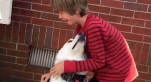 Read more about the article Boy cries when reuniting with his best friend dog after a year apart [video]