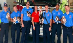 Read more about the article Pregnant dog enters the fire station, gives birth to puppies, and finds a forever home