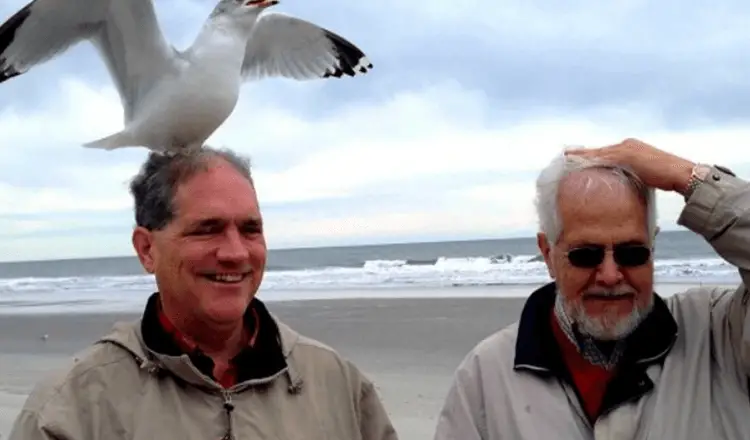 You are currently viewing For twelve consecutive years, this seagull returns every day to the man who saved its life