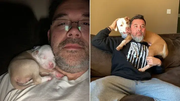 You are currently viewing This little dog loves taking a nap on her dad’s shoulder, even though she’s already a grown girl.